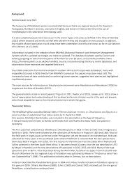 Image result for Petalidium englerianum