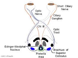Image result for Optical Reflex