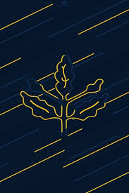 Download and use 10,000+ iphone wallpaper stock photos for free. Fenerbahce Wallpaper Download To Your Mobile From Phoneky
