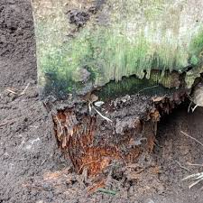 Accommodates standard size post lights. Repairing The Base Of A Rotted Deck Post Hubpages