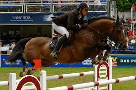 Cavalier belge du haut niveau File Hessischen Ministerprasidenten Gregory Wathelet Auf Etoile M 3 Mk Jpg Wikimedia Commons