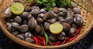 Biarkan selama 30 minit dan kemudian bilas seperti biasa sebelum dibasuh. Cara Mencuci Kerang Agar Bersih Buang Lumpur Dari Perut Kerang
