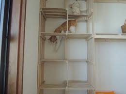 すのこ猫タワーの進化 お金をかけず夢の猫ハウスに一歩前進 きゃっとぱーてぃーハウス 猫タワー 猫ハウス 猫 ベッド 手作り