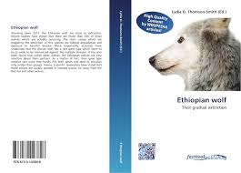 So here's the truly interesting thing about these afroalpine wolves: Ethiopian Wolf 978 613 0 14384 8 6130143842 9786130143848