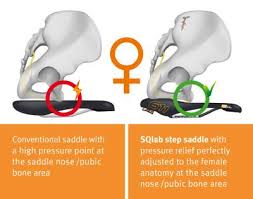 Manufacturers provide saddles with different widths. Saddle Ergonomics Explained Sqlab