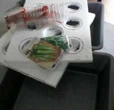 Biasanya untuk mengukur konsentrasi pupuk hidroponik digunakan tds meter. Wanita Ini Buat Bekas Hidroponik Guna Besen Kedai Rm 2 Ini Hasilnya Impiana