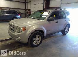 Image result for Light Sage 2009 Escape