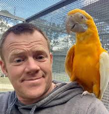 Ginger le Ara adore faire le pitre pour la caméra : r/aww