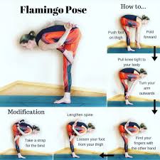 Bird Of Paradise Yoga Pose Modifications Flamingo Pose Yoga Tutorial Modification Black Red Leggings By Arctic Flamingo Tutorial Photo By Yogawesermarsc Yoga Tutorial Advanced Yoga Yoga Asanas