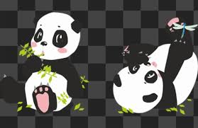 Lucu sapi terbang beranak (animasi kartun). Wallpaper Korea Lucu Panda Lucu 800x800 Download Hd Wallpaper Wallpapertip