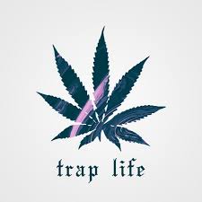 4.3 out of 5 stars. Trap Life Youtube