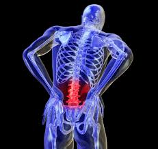 Pin On For Posture