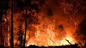 The unprecedented extent of fires burning across australia in early 2020. Huge Change To Aussie Fire Tactics Queensland Times