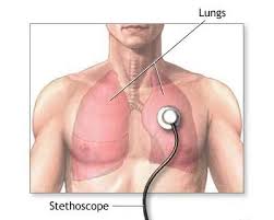 L'insufficienza respiratoria si verifica quando il sistema respiratorio non riesce a mantenere un adeguato livello di ossigenazione nel sangue o di eliminazione. Insuficienta Respiratorie