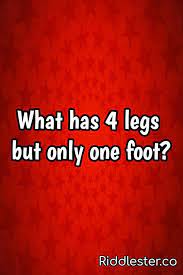 25 Tricky Riddles For Kids Brain Teasers And Funny Questions Riddlester Tricky Riddles Brain Teasers For Kids Funny Questions