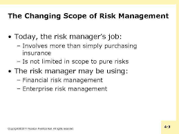 Finance, performance and risk manager job purpose: Chapter 4 Advanced Topics In Risk Management