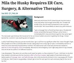 We review the best pet insurance companies based on cost, coverage best pet insurance companies. Embrace Pet Insurance 2021 Compare Quotes