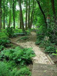 Backyard Woods Landscaping Backyard Woods Landscaping Design Ideas And Photos Woodland Garden Shade Garden Landscape Design
