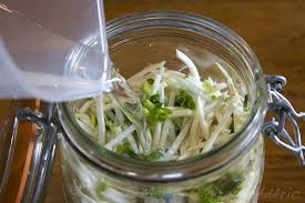 Salade De Celeri Rave Lacto Fermentee Ni Cru Ni Cuit Le Blog Des Aliments Fermentes Aliments Fermentes Celerie Rave Alimentation