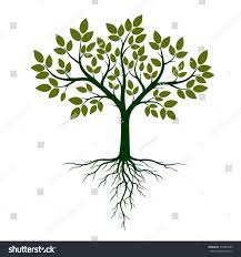 Green Tree With Roots Vector Illustration Ad Affiliate Tree Green Roots Illustration Roots Illustration Yoga Tree Green Trees