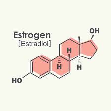 Image result for Estrogen