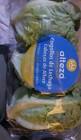 Cogollos De Lechuga