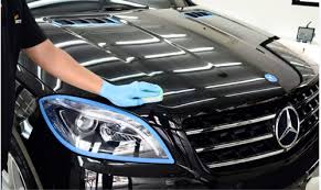 Download Premium Vector Of Tropical Botanical Leaves Mobile Phone Car Coating Ceramic Coating Car