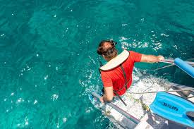 Image result for Selago barabei