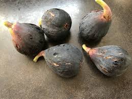 Its pretty spring and summer flowers turn into plump, purple fruit with sweet pink flesh that is a perfectly tasty and healthy treat for fresh eating. Violette De Bordeaux French Fig Farm