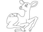 Jun 14, 2021 · the second best thing… is coloring these zoo coloring pages! Deer Coloring Pages