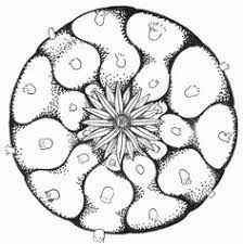 4.7 out of 5 stars. 16 Button Art Wisdom Ideas Peyote Cactus Button Art Peyote