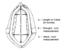Still using the gray mare as an example, her height should be written as 14.2. Measuring A Collar And Hames