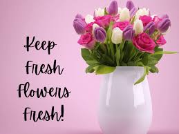 Here are some flower hacks that'll teach you how to make flowers last longer, and more. 6 Steps To Keep Cut Flowers Fresh Longer Dengarden