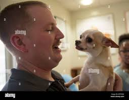 U s navy master at arms 3rd class hi-res stock photography and images