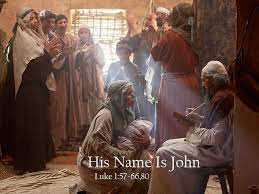 HOMILY/REFLECTION ON THE SOLEMNITY OF THE NATIVITY OF ST. JOHN THE BAPTIST  - Fr. Chinaka's Reflections
