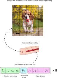Dogs are the best bomb detectors we have. How To Implement A Yolo V3 Object Detector From Scratch In Pytorch Part 1 Kdnuggets