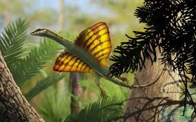 Image result for Hypuronector