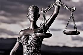 Image result for Justicia engleriana