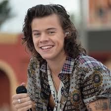 Harry styles' best and purest reactions. 50 Harry Styles Haircut Ideas To Try Men Hairstyles World