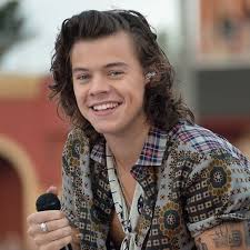 We didn't know how it was done (other than with scissors, duh), we didn't know why; 50 Harry Styles Haircut Ideas To Try Men Hairstyles World