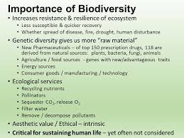 Biodiversity Test Review Biodiversity Why Important Ppt Download