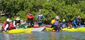 Where to rent a kayak in tampa bay? Tampa St Pete Fl Riverwind Kayak