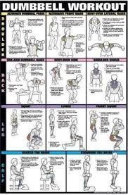 dumbbell workout ii 24 x 36 laminated chart shoulder back