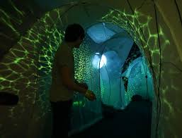 Where Rocks are Fed to Trees