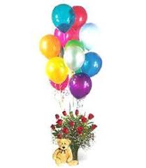 We did not find results for: 1 Dz Roses W Balloons Teddy Bear Arrangement Blossom Flower Delivery