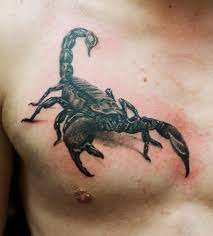 Scorpion Tattoos Tattoofan Tatuagem Escorpiao Tatuagem Tatuagens