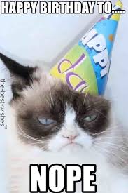 Top 100 Funniest Happy Birthday Memes Most Popular Grumpy Cat Birthday Grumpy Cat Grumpy Cat Humor