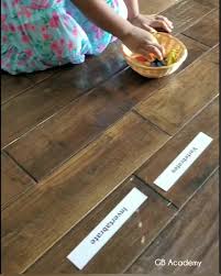 Introductionchapter to 29 invertebrates introduction to invertebrates animals introduction to invertebrates what makes an animal? Vertebrates And Invertebrates Video Vertebrates And Invertebrates Creative Activities For Kids Montessori Activities