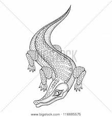 Make a coloring book with saltwater crocodile for one click. Hand Drawn Zentangled Vector Photo Free Trial Bigstock