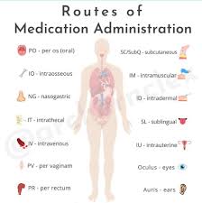 Image result for Medication Route